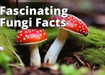The Ultimate Amanita Muscaria Mushroom Guide: Cultivation, Nutrition, And Consumption