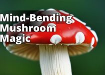 The Beginner’S Guide To Amanita Muscaria Trips: Effects, Risks, And Precautions