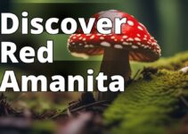 Red Amanita Muscaria: A Comprehensive Guide To Its Benefits, Risks, And Uses