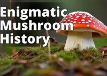 Amanita Muscaria History: An Insight Into Its Cultural And Mythological Significance
