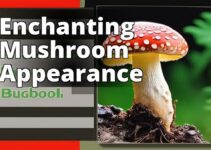 A Closer Look At Amanita Muscaria Mushroom’S Appearance And Poisonous Properties