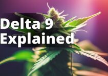 Delta 9 Thc: Understanding The Legal Implications For Marijuana Legalization