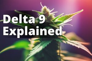 Delta 9 Thc: Understanding The Legal Implications For Marijuana Legalization