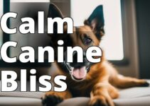 The Ultimate Guide To Using Cbd Oil For Dog Anxiety: Uncover The Benefits