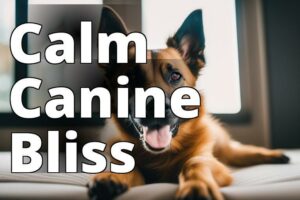 The Ultimate Guide To Using Cbd Oil For Dog Anxiety: Uncover The Benefits