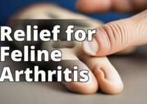 Cbd Oil Benefits For Arthritis In Cats: The Ultimate Guide To Relieving Feline Joint Pain