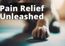 The Ultimate Guide To Relieving Joint Pain In Dogs With Cbd Oil