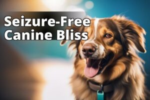 The Ultimate Guide To Cbd Oil For Seizures In Dogs