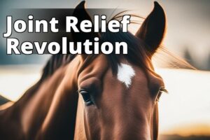 The Ultimate Guide To Cbd Oil Benefits For Joint Health In Horses