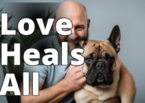 Discover The Power Of Cbd Oil For Dogs With Cancer: A Definitive Guide