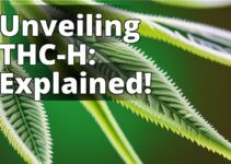 Understanding Thc-H: Benefits, Interactions, And Side Effects