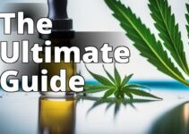 The Beginner’S Guide To Cbd: What Is It And How Does It Work?