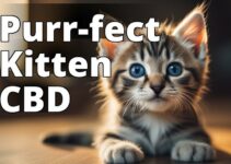 The Best Cbd Oil For Kittens: Your Key To Optimal Feline Health