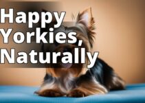 The Ultimate Guide To The Best Cbd For Yorkies: Choosing And Administering With Ease