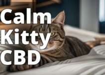 The Ultimate Guide To Finding The Best Cbd For Anxious Cats