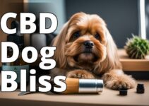Unleash Optimal Dog Grooming With The Best Cbd Products