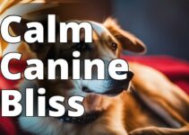 The Best Cbd For Dogs On The 4Th Of July: Keeping Your Canine Calm