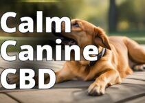 The Top Cbd Solutions For Hyper Dogs: Choosing The Best Option