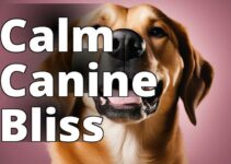 Discover The Best Cbd For Barking Dogs: Find Relief And Calm
