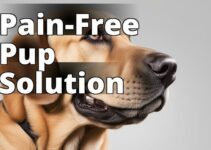 Say Goodbye To Dog Joint Pain: The Best Cbd Remedies For Holistic Relief
