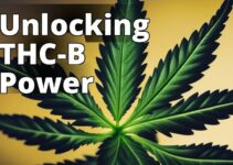 The Potential Of Thc-B: Effects, Research, And Transformations